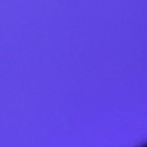 Meet your Posher, Stella